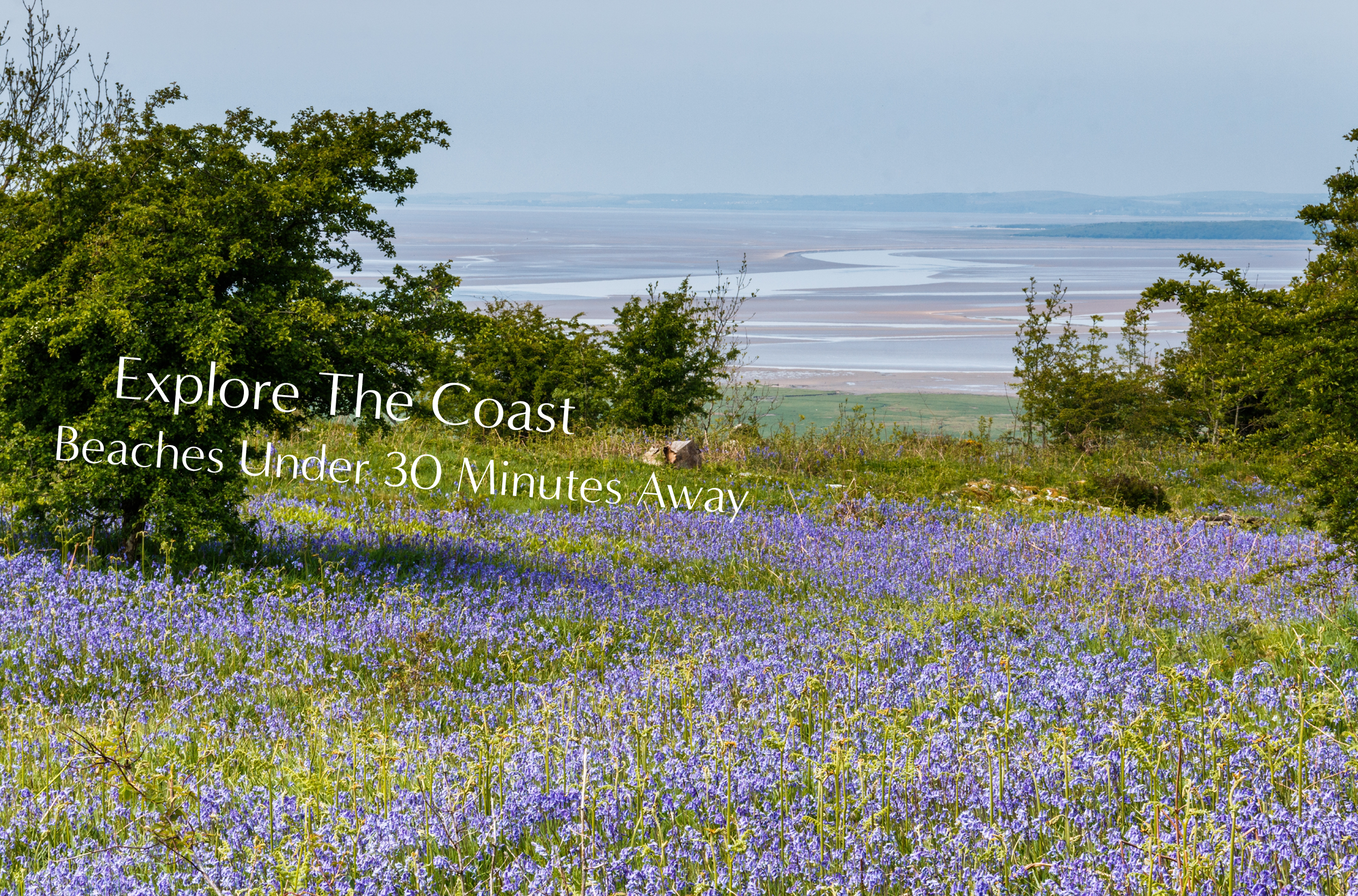 Explore the coast