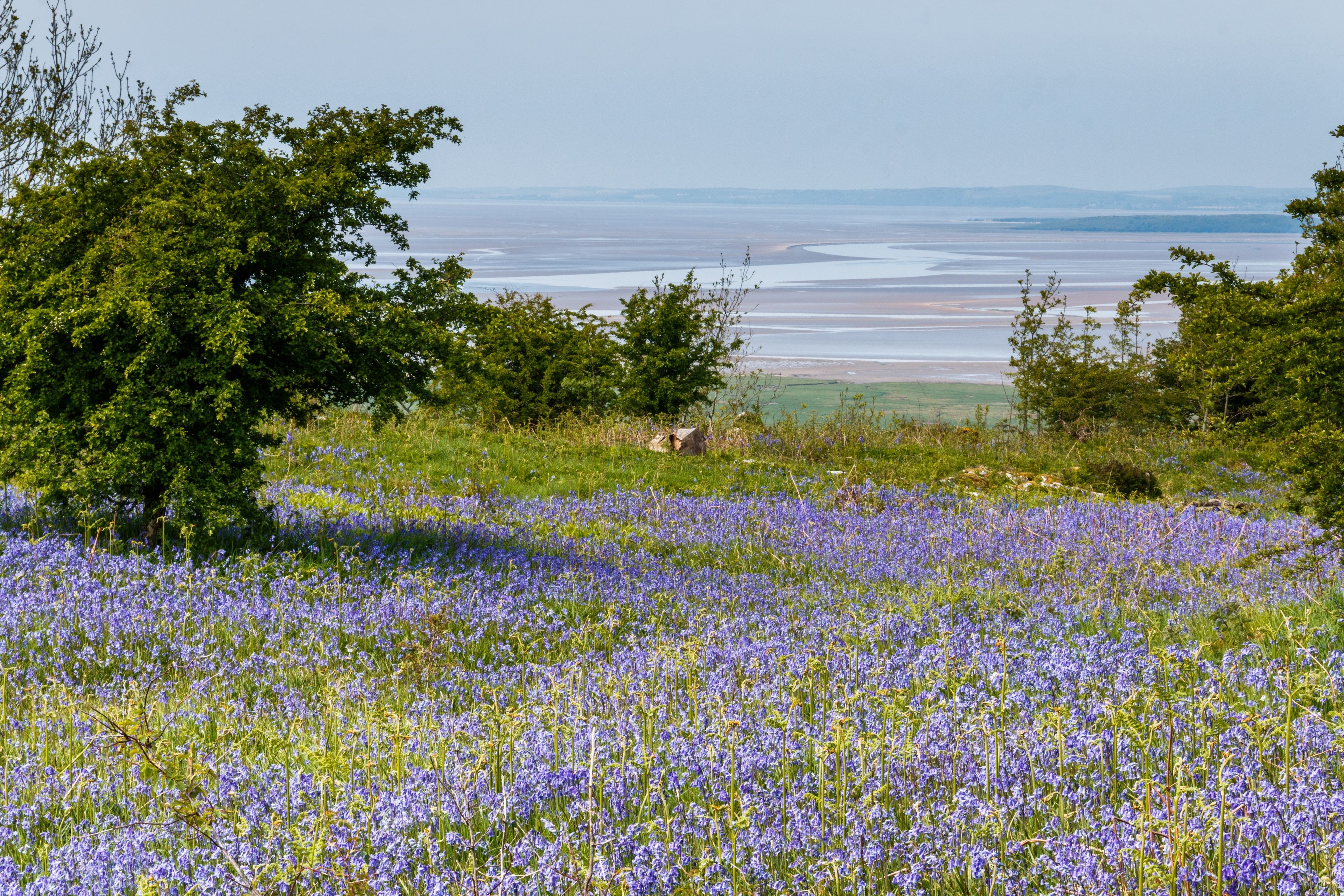 Toll House Inn in Lancashire, United Kingdom